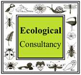 Ecological Consultancy