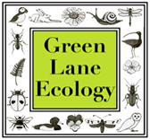 Green Lane Ecology
